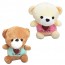 URSO DE PELUCIA COM VENTOSA LOVE